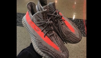 2017 New V2 mix colors cp9654 zebra cp9652 bred BY