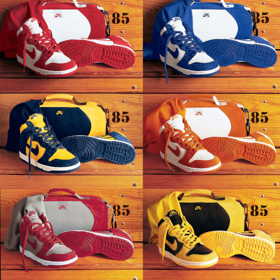 Livre Nike SB Dunk Pro (1985-2011) - Le 